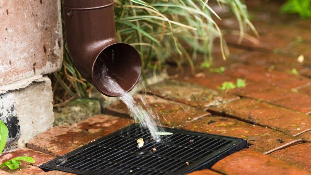 Water flows from a brown downspout into a black drain grate on a wet brick surface, with some green plants nearby.