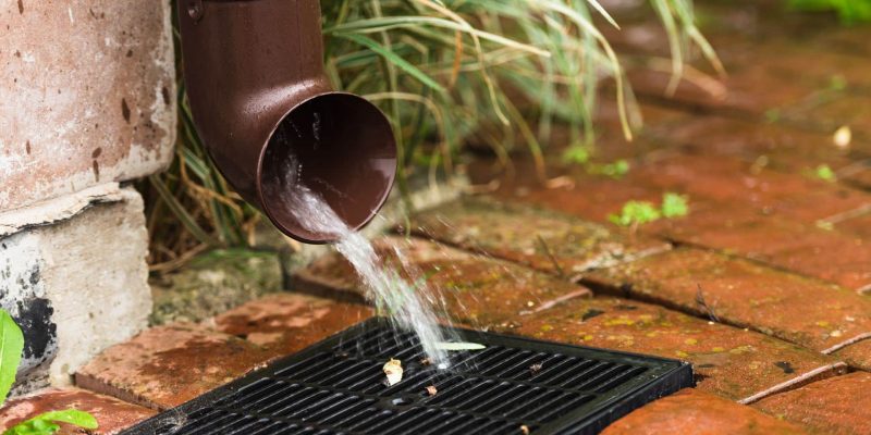 Water flows from a brown downspout into a black drain grate on a wet brick surface, with some green plants nearby.